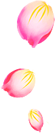 家打假条采集到花瓣
