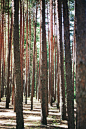 (2) Tumblr