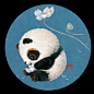【中国熊猫】荷花篇（二）#财源“滚滚”来！##熊猫# ​​​​
