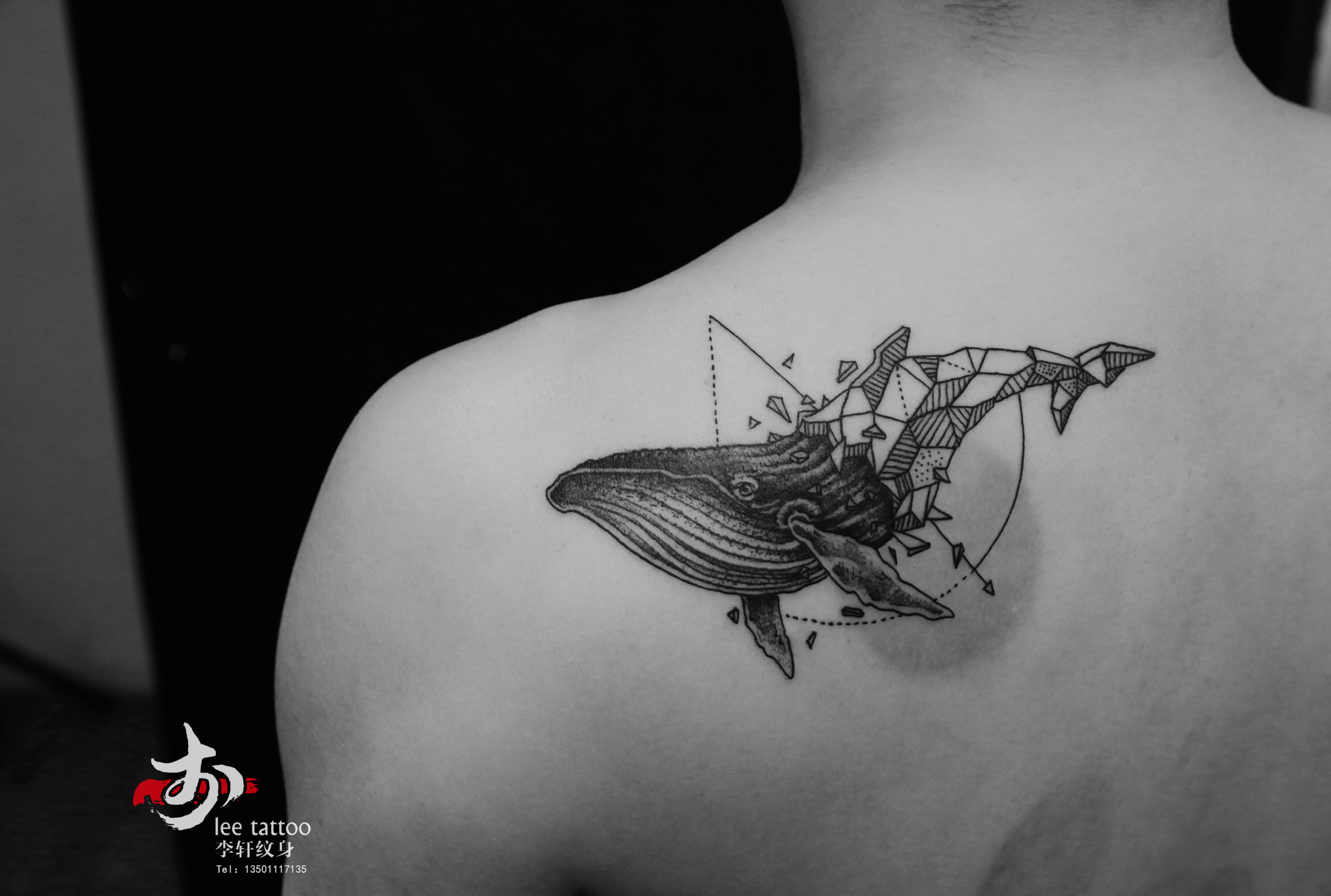 北京李轩纹身##TATTOO##鲸鱼插画##纹身图案# #刺青# #tattoo# #ink# #纹身图案# #纹身手稿# #鲸鱼# #北京纹身#  #北京纹身店# #李轩纹身##鲸鱼纹身##纹身图案设计##创意线条纹身##创意集合纹身##简约纹身##鲸纹身##鲸鱼纹身##点刺几何#