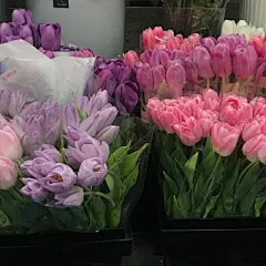 朋友圈背景图 - 堆糖，美图壁纸兴趣社区