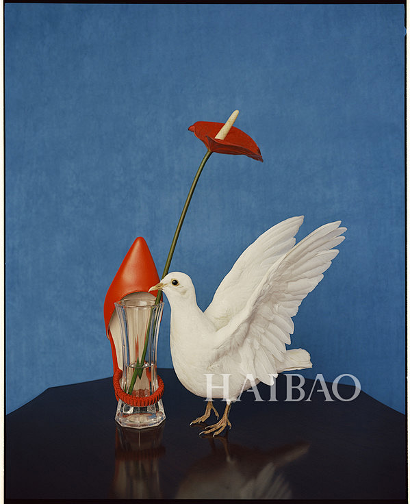 PeaceBird Women (Pea...