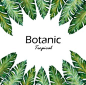 水彩手绘热带植物绿叶子阔棕榈叶斑马火烈鸟EPS矢量图片设计素材-淘宝网