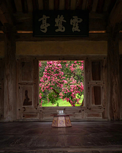 兰蓝樱采集到家居.居家.庭院