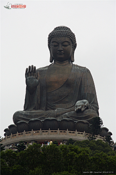 旺星喵喵采集到参考★天水山石植★