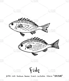 食品菜单插图