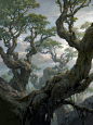 tianhua-xu-forest-c8d.jpg (1500×2000)