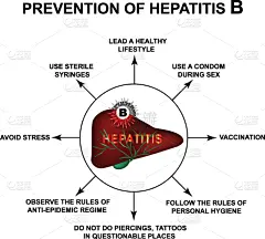 肝炎,白昼,地球,生物学,健康保健,技术,动物,保护