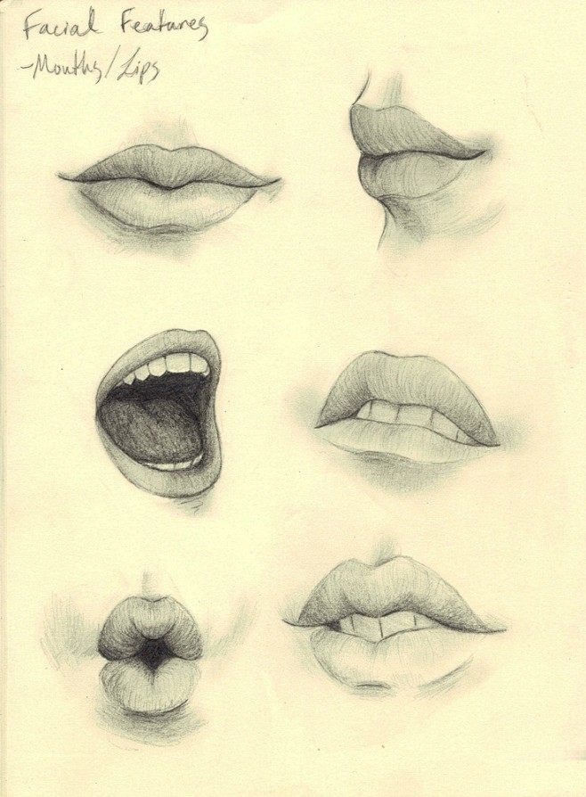 lip study: 