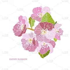 华丽的,樱花,请柬,壁纸,樱桃,婚礼,装饰物,春天,排列,复古