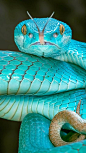 (626) Pinterest