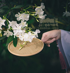 人間煙火－采集到Fan／京／扇子