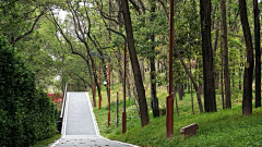 口大天采集到公园
