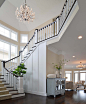 Large elegant wooden curved wood railing staircase photo in Philadelphia with painted risers