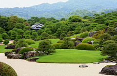 “NICE”采集到枯山水