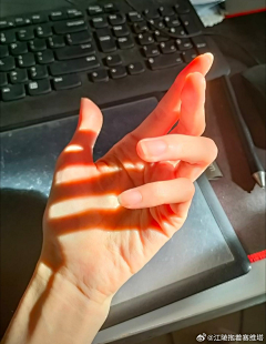 -一林婵婵-采集到手