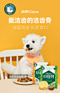 小壳狗狗零食大中小型犬耐咬磨牙棒幼犬泰迪宠物除口臭洁齿骨头-tmall.com天猫