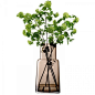 Buy Brown, Handmade Glass ,Chimney, 53cm Vases from the Official LSA…
