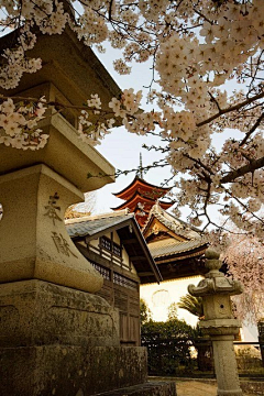 MaximalCrazy采集到建筑の美