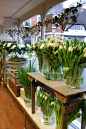 英国乡村的玫瑰花店