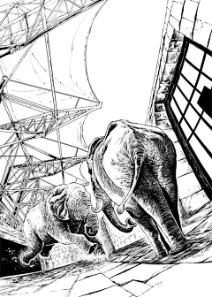 写实插画狗，写实漫画线稿，动物图书插画，儿童插画，儿童漫画，花瓣肖刚漫画，老连环画，Q版漫画，唯美写实，写实插画，古风插画，传统历史漫画，图书绘本插画