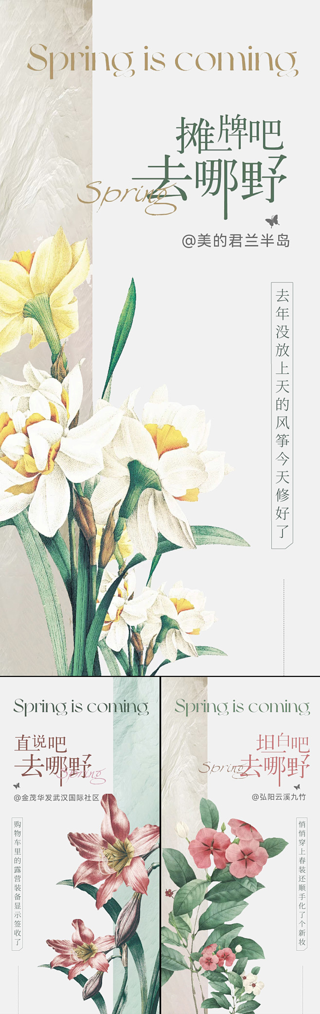 地产花朵系列刷屏-志设网-zs9.com