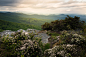 Photograph Hawksbill in Bloom by Serge Skiba on 500px