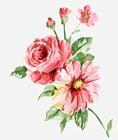 手绘红色牡丹花野牡丹_图案装饰免费下载_巧办网