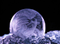 图片：archiemcphee: Frozen bubbles are super awesome,... - ワンダと巨像 : 在 Google 上搜索到的图片（来源：wandirge.tumblr.com）