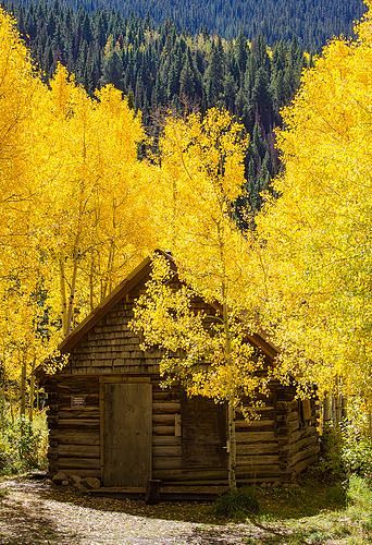 Autumn Cabin, Crysta...