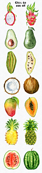 食物水果火龙果木瓜手绘水彩水彩包装餐饮PNG免扣设计元素  (2)