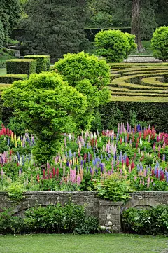 【景观绿篱植物设计图集下载】绿墙模纹花坛/法式园林花园/植物树木修剪迷宫