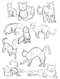 Cat Gestures by ~saraneth672 on deviantART Find more at https://www.facebook.com/CharacterDesignReferences if you ar looking for: #art #character #design #model #sheet #illustration #best #concept #animation #drawing #archive #library #reference #anatomy 