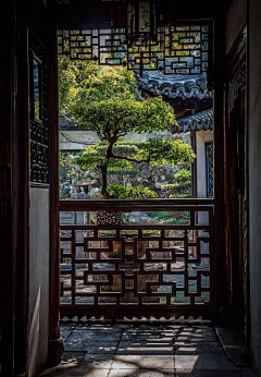 待怜犹伶梦采集到小院庭芜绿,疏影水清浅