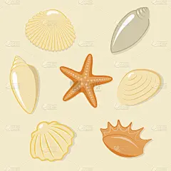 海岸边贝壳的矢量概念
