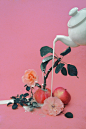 domsebastian: magic apple plant #photography #teapot #apple #milk #pour #surreal #plant #flower #grow #pink