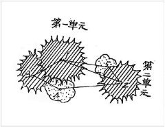 文文LZ采集到植物