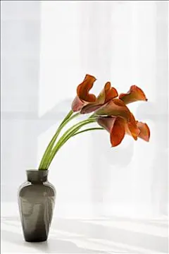 壁纸壁纸-高清壁纸壁纸-壁纸壁纸大全-全景壁纸