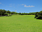 鵝鑾鼻公園的草地與燈塔 : 鵝鑾鼻公園的草地與燈塔