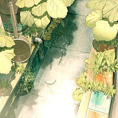 乔木不铁采集到夏天