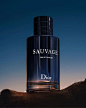 Sauvage Eau de Parfum and its sensual accords inspired by the desert at the #magichour. When nature reveals new scents. #diorsauvage #fragrance #diorparfums via DIOR official Instagram - #Beauty and #Fashion Inspiration - Beautiful #Dresses and #Shoes - C