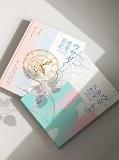 恋爱日记封套样机