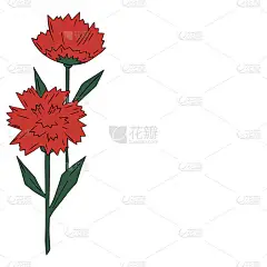 红色与绿色的康乃馨，白色背景上的花。矢量图。5 月 9 日.