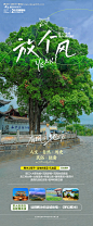 云南旅游海报-源文件【享设计】