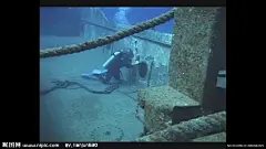 潜水员 海底生物 海洋生物 海底世界 珊瑚礁 海洋 大海 海景 海水 鱼群 实用标清素材 标清实拍素材 标清影视素材 多媒体设计 视频剪辑 AVI