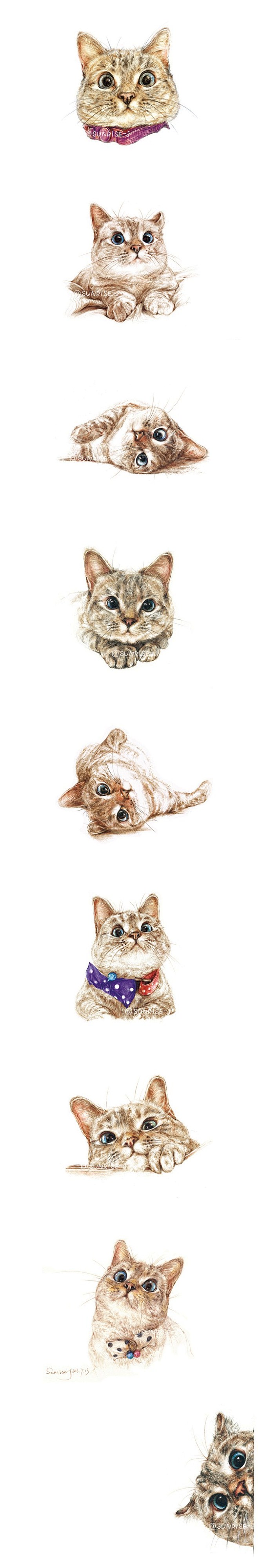 #治愈系##猫咪##彩铅##插画##萌宠...