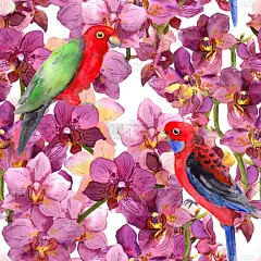奇异的花卉图案——鹦鹉鸟，盛开的兰花花