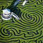 Longleat Hedge Maze 