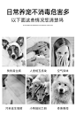 雪貂宠物狗狗猫咪室内喷雾猫砂祛味喷雾-tmall.com天猫