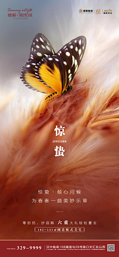 蒋奶奶YYDS采集到1-节日节气海报